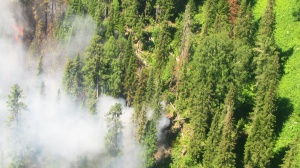 В Шорском национальном парке ликвидирован лесной пожар